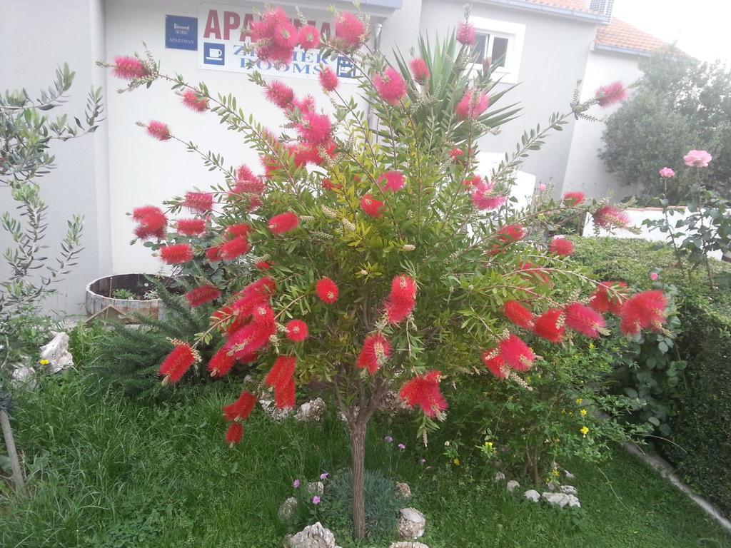 Filip Apartment Omis Luaran gambar
